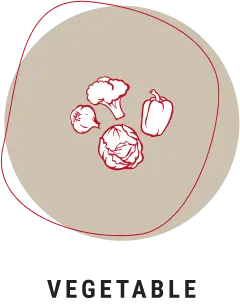Vegetable